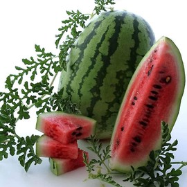 Bush Jubilee Watermelon Seeds- 2 g ~16 Seeds - Non-GMO, Open Pollinated, Heirloom, Vegetable/Fruit Gardening Seeds