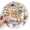 Meme Cat Stickers for Laptop(50 Pcs),Gift for Kids Teens Adults