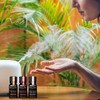 Kit Relajación Horas Marie Argan Aceites Antiestrés Calma Insomnio Tensión