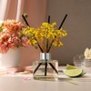 COCODOR Preserved Real Flower Reed Diffuser/Black Cherry / 6.7oz(200ml) /
