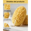 Esponja de Baño Exfoliante Xjvjixe Juego de 2 Piezas para