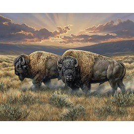 DAVID TEXTILES North American Bison Buffalo On The Dusty Plains Cotton Panel 36 X 44 Inches WW3321