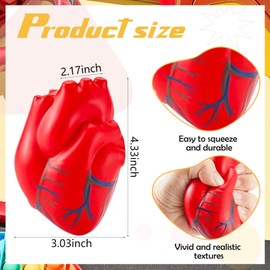 Hungdao Anatomy Stress Toy Set 2 Pieces Heart with Brain PU Foam Stress Ball Fake Healthcare Anatomy Ball for Relief (Red)