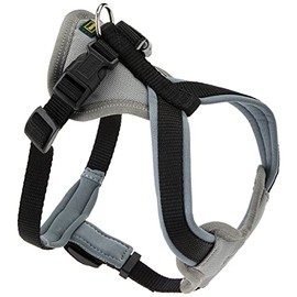 HUNTER NEOPREN dog harness, nylon, padded with neoprene, for sport and leisure,black / gray, nylon, neoprene,38-48,XS-S