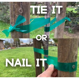 Generic Super Heavy Duty Plant Tie Tape - 20 Mil Thickness - Green - 90 Feet x 1 Inch - Weather Resistant - Stretchable Garden Vinyl Ribbon for Branches and Trees