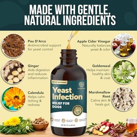 Yeast Infection Treatment for Dogs Drops (7 in 1 Formula) Soothes Itchy & Irritated Skin, Improves Skin and Coat, Dog Yeast Infection Treatment & Anti Yeast Drops for Dogs