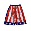 Rocky Balboa/Creed American Flag Shorts, Multicolor, Small