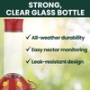 Perky-Pet 209B-1SR Glass Hummingbird Feeders for Outdoors Hanging - 30