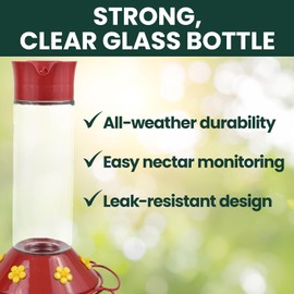 Perky-Pet 209B-1SR Glass Hummingbird Feeders for Outdoors Hanging - 30 fl oz Nectar Capacity - Ant & Bee Guarded Red Bird Feeder