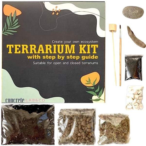 Terrarium DIY Kit for Succulents and Cacti Plants with Step