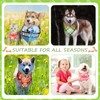 Sweetude 100 Pcs Plaid Dog Bandanas Bulk Cute Dog Scarf