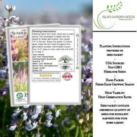 Sundial Wild Lupine Seeds (Lupinus perennis) – 50+ Heirloom Non-GMO Seeds, Vibrant Native Perennial Flowers for Pollinator Gardens, by Isla’s Garden Seeds, Easy to Grow, Perfect Home Garden Gift