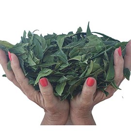 Organic Neem Leaves | WHOLE Fresh Wild Harvested Shade Dried Premium | 5 Oz for Tea, Natural Detox USA
