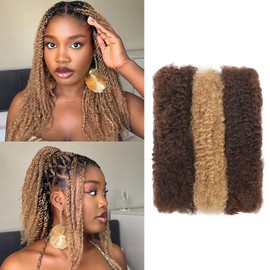 LPARMJIT Afro Kinkys Bulk Human Hair 8-Inch 30 g/Bundle Kinky Curly Braiding Human Hair for Locs, Twists, Loc Repair, Dreadlock Extension (P4/27, 12 Inch (1 Pack)