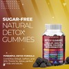 Sugar Free Zeolite Detox Gummies Shilajit Saffron Probiotics Chlorella Psyllium