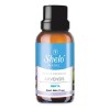 Aceite Esencial Arvensis Sheló Nabel 15ml Menta Para Difusor y
