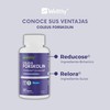 Wellthy Coleus Forskolin, Relora Ingrediente Suizo y Reducose Ingrediente Britanico