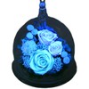 Art Four Season Luminous Rose, Preserved Flower, Rabbit
