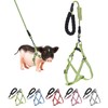 Mini Pig Harness, Adjustable Small Pig Harness with Leash Infinity