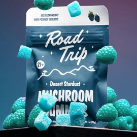 Road Trip Mushroom Gummies - Nootropic - 20:1 Lions Main Extract - Supplement - Desert Stardust - 5 Pack - Blue Raspberry