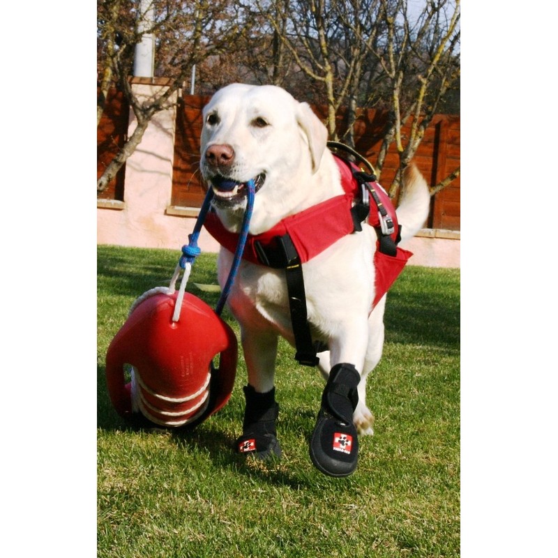Westcoast Thera-Paw Padded - Size TF, Supportive & Protective Boot
