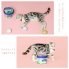 kashima Bucket Ice Ball Toy, Pet Dog, Cat, Toy, Toy,