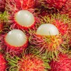 Fruits in Syrup (Rambutan with Pineapple) - 20oz (Pack of