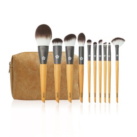 EDTRE Makeup Brush Set 10 Pieces Makeup Brushes High Density Fiber Bristles with DuPont Paper Storage Pouch