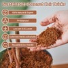 Riare 8pcs Organic Coco Coir Bricks Soil Blocks- 100% Natural