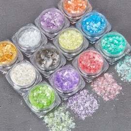 Kingsie Nail Hologram Set of 12 Random Hologram Ultra Thin Aurora Flakes Powder Nail Parts for Gel Nail Art Resin Decor Parts in Case (Set of 12)