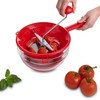 Fantes Fruit Vegetable Food Mill, 4 Disc Blades, Made in