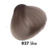 Crazy Color Renbow Colouring Direct 100 ml 100 ml Silver