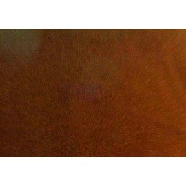 fortheBIRDS! EXTRA LARGE Bird CAGE Seed Catcher SKIRT CHOCOLATE BROWN