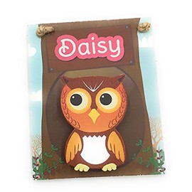 Daisy Children's Magnetic mini Clip Board school reminders reminder on Fridge wall plaque with spring peg with Funny Faced Owl