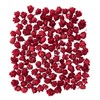 Daichi Farm DO024720-300 Dried Flowers, Red, Approx. L 0.4 inches