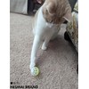 5-Piece Toy Balls with Bells – Hollow Cat Toys for