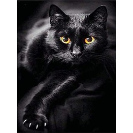 Diamond Painting Set, Picture with Black Cat Motif and Accessories, Size Approx. 35 x 25 cm, Craft Set for Painting with Rhinestones for Children from 5 Years