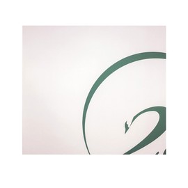 O21 Galactomyces Vitamin C Premium Black Swan Gift 4-Piece Set (Serum 15ml, Cream 15g, Cream 50g, 10 Masks) / O21 갈락토미세스 비타민 C 프리미엄 블랙스완 기프트 4종 세트(세럼15ml, 크림15g, 크림50g, 마스크10매)