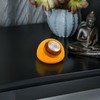LIFKOME Countdown Timer Mechanical Timer for Kitchen Classroom and Exercise