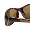 Coyote Eyewear BP-14 Polarized BiFocal Reading Sunglasses +1.00 Tortoise Amber