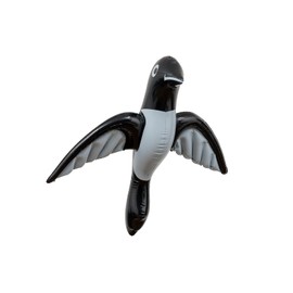 Magpie Mascot