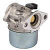 OxoxO Carburetor Carb Fit for Briggs & Stratton 799868 498170