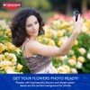 BioAdvanced All-in-One Rose and Flower Spray, Fertilizer, Insect Killer and