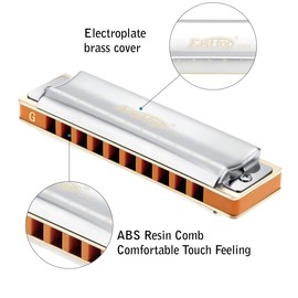 East top 10 Holes Professional Diatonic Blues Harmonica Key of G with Silver Cover, Probgrade Harmonicas For Adults, Professional Player and Students