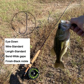 EUPHENG100pc Tenkara Hook Fly Fishing Hook Catch&Release Dry Wet Nymph Assortment Competition Hook (#10, Tenkara Fly hook-9221)