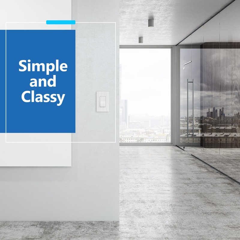 LIDER Brushed White Minimalist Design Decorator Switch with Screwless Wall