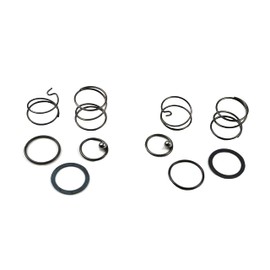 Palart N078434 Spring kit for 20 V impact wrench DCF885 DCF886 spring and ball replacement, impact driver spring kit and ball (2 pcs)