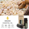GREENSLEEVES Essential Oil - 10ml (Frankincense)
