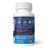 YongWell Joint Pro, Maximum Joint Support Complex (100 Tablets)