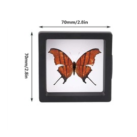 10Pcs 3D Floating Frames Display Holder Stands,Transparent Coin Display Stands,3D Floating Jewelry Frame,Challenge Coin Holder for Jewelry Antique Specimens (Black 2.75Inch)